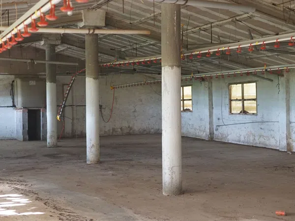 Casa rural en Pd Parellades - Polígono 16, Panxa Blanca, 49 Parcela - Foto 6