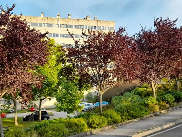 Piso en calle de Luis Iglesias Iglesias, 7 - Foto 23