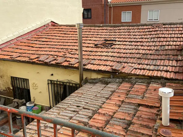 Casa o chalet independiente en Calle Limón, 38, Pizarrales - Foto 21