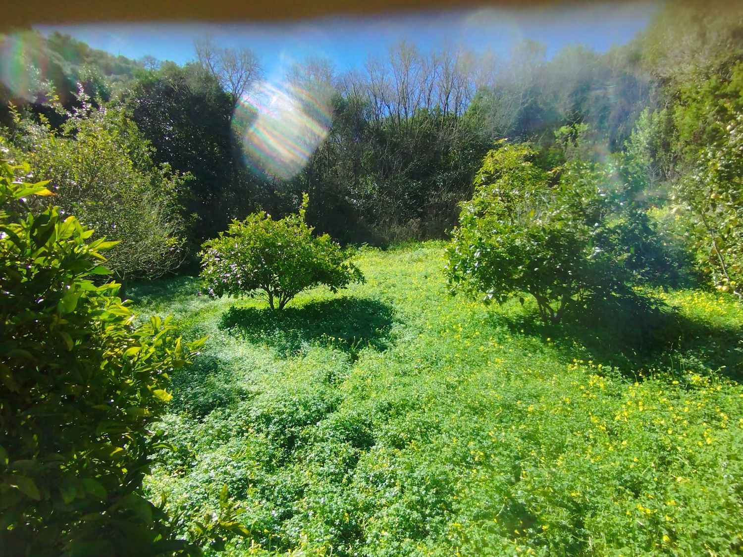 Casa independiente en El Laurelar, 53 - Foto 2