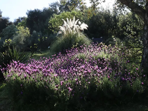 Chalet pareado en carretera Cc-431 s/n - Foto 39