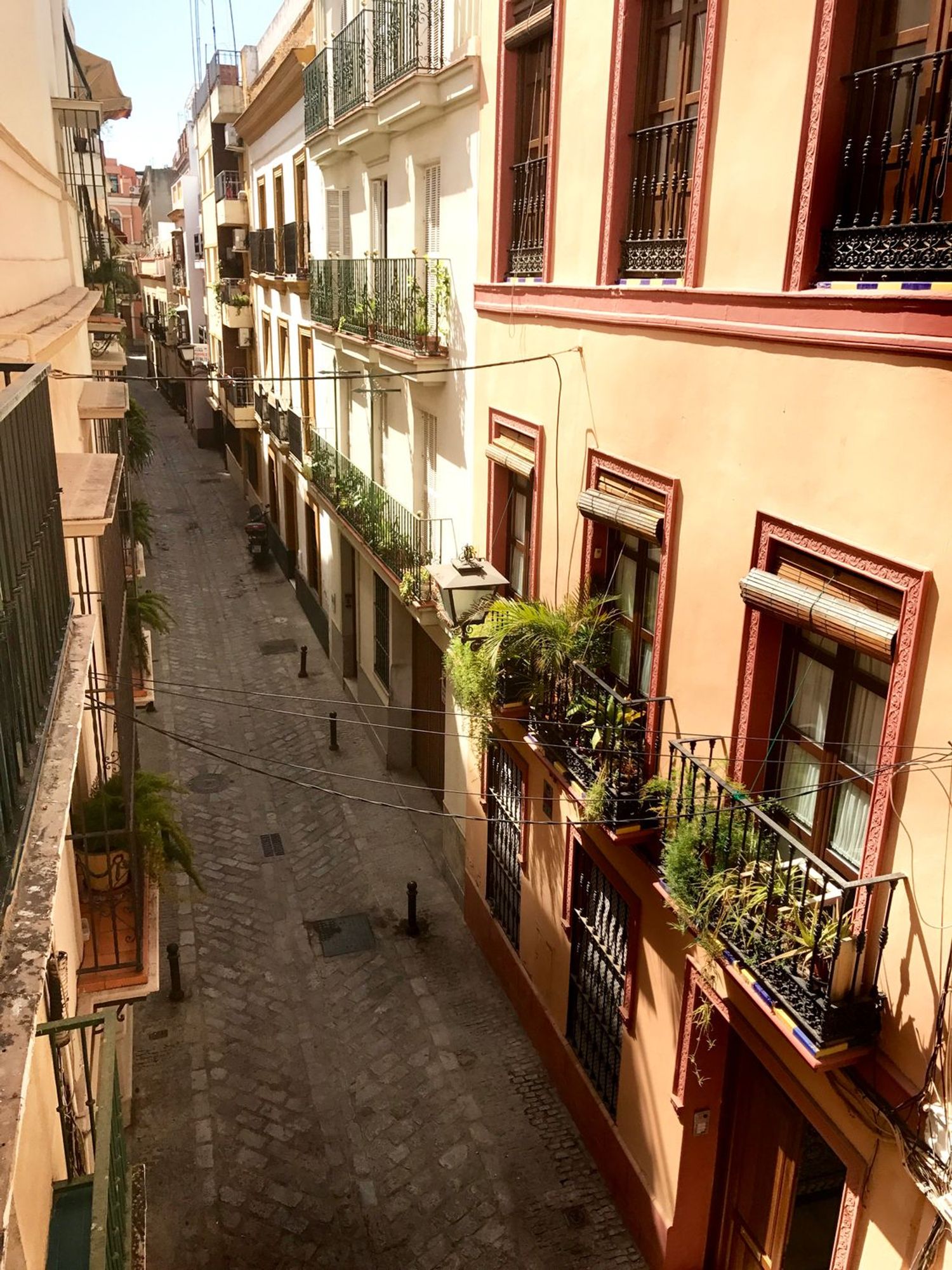 Piso en Barrio San Vicente - Foto 25