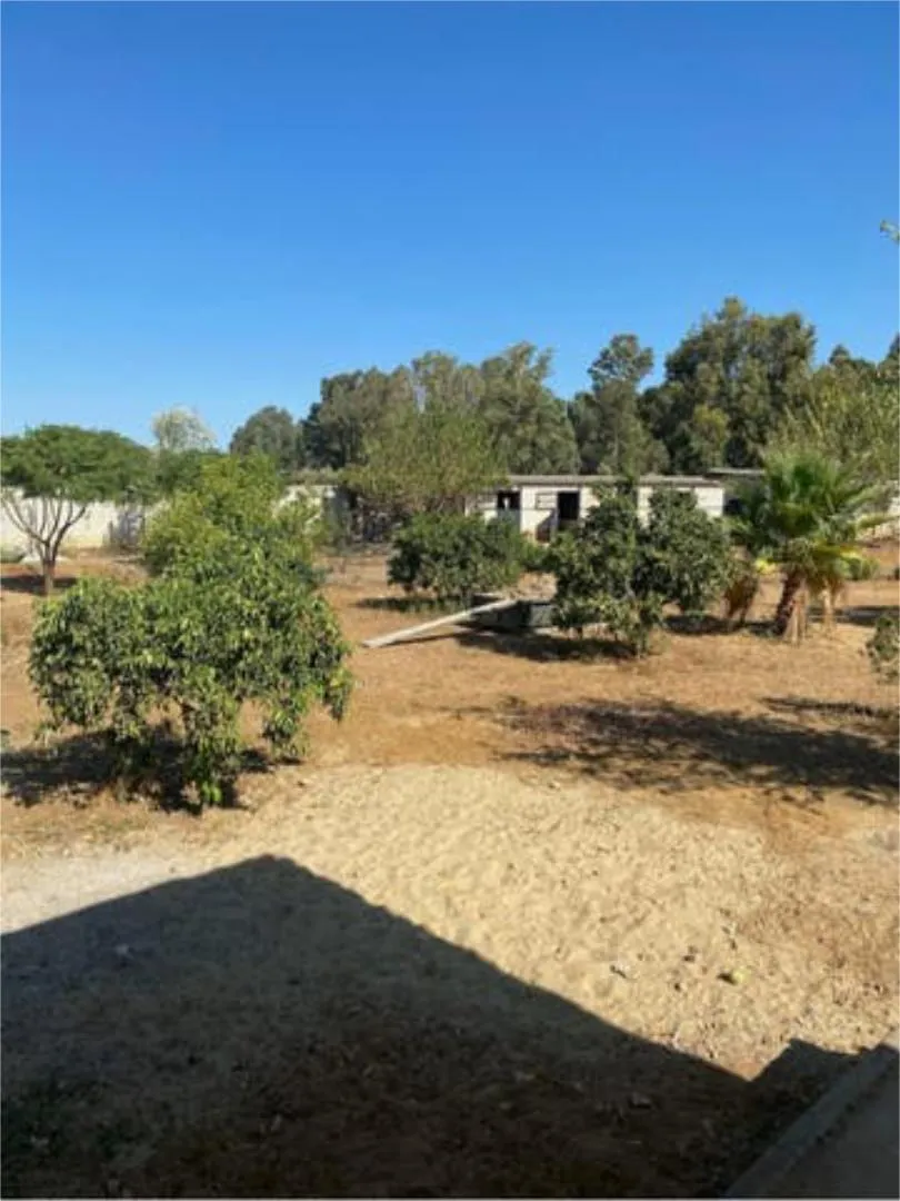 Casa adosada en Urbanizacion el regidor - Foto 6