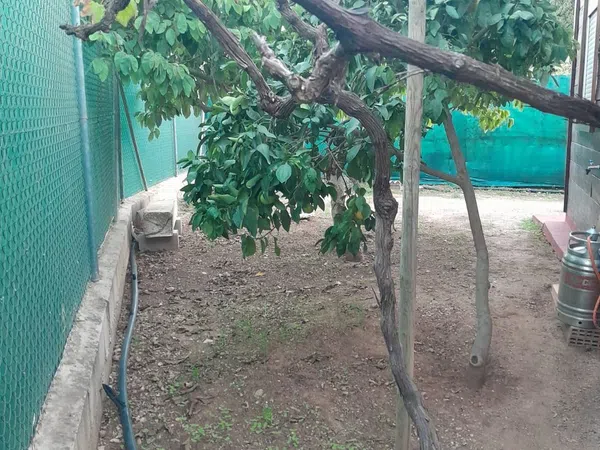 Casa o chalet independiente en Carretera de Álora, 1 a, Pizarrillo - El Retiro - Foto 19
