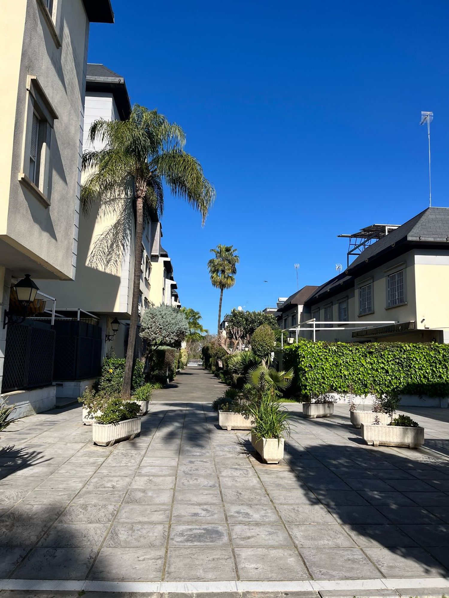 Piso en calle Londres, 36 -42 - Foto 11