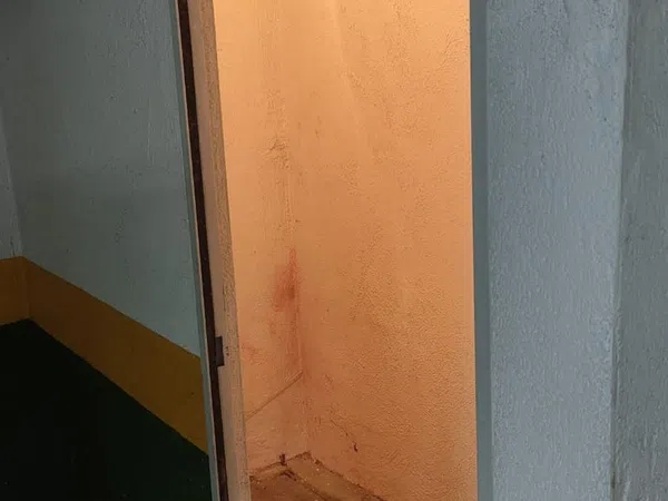 Piso en avenida de Castrelos, 218 - Foto 15