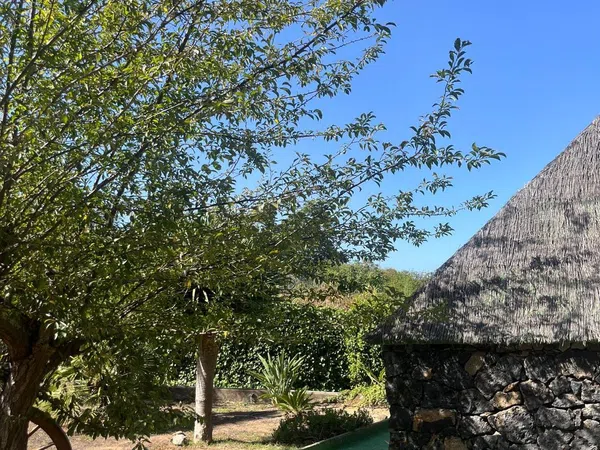 Casa o chalet independiente en Calle de Los Cominos, 63, El Bebedero - Pinolere - Aguamansa, El Bebedero - Pinolere - Aguamansa - Foto 17