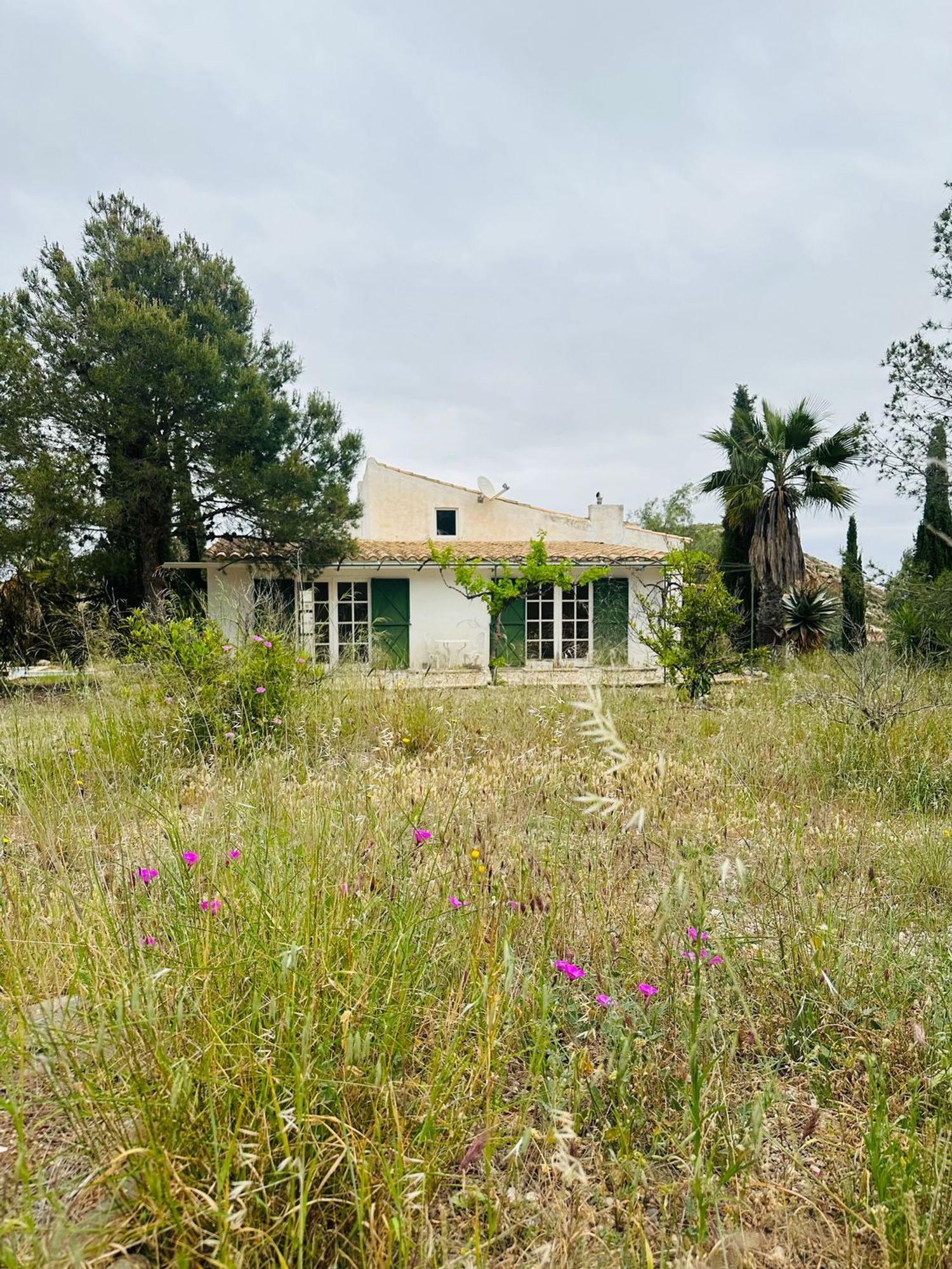 Finca rústica en Zarcilla de Ramos-Doña Inés - Foto 22