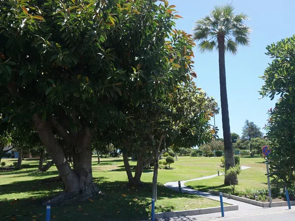 Estudio en avenida del Prado, 10 - Foto 20