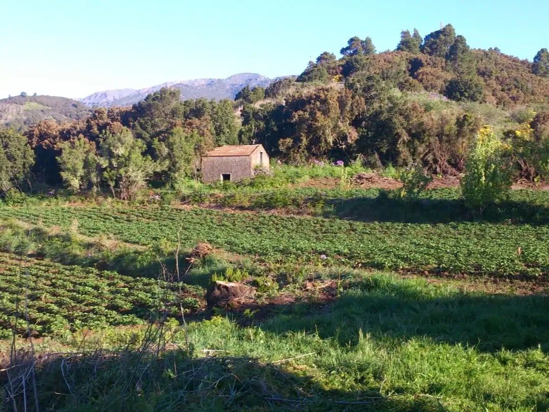 Finca rústica en  Carretera 2A - Foto 3