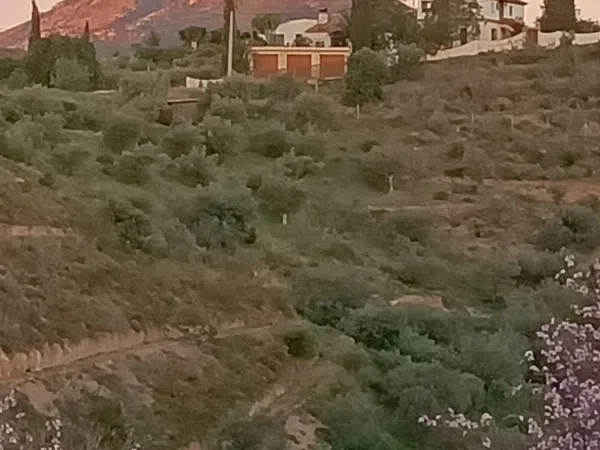 Piso en Calle Cariñena, 2, La Cala del Moral, La Cala del Moral - Foto 17