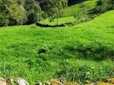 Chalet en Barrio Campillo - Foto 4