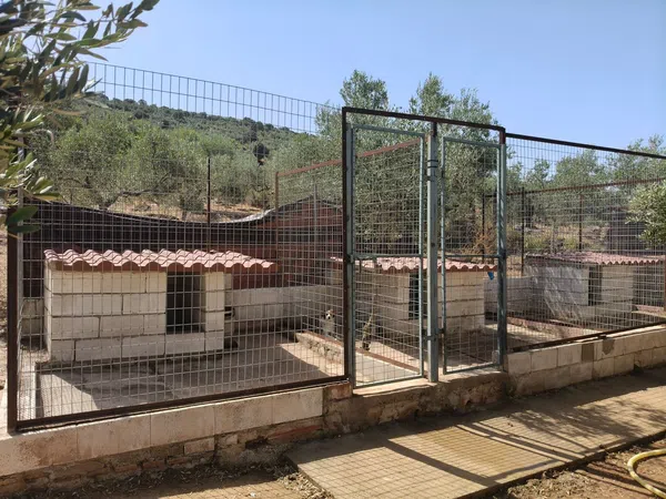 Finca rústica en Calle Zorro, 16 - Foto 4