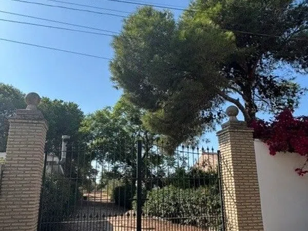 Casa o chalet independiente en Calle Vison, 13, Cuatro Pinos-El Carmen - Foto 3