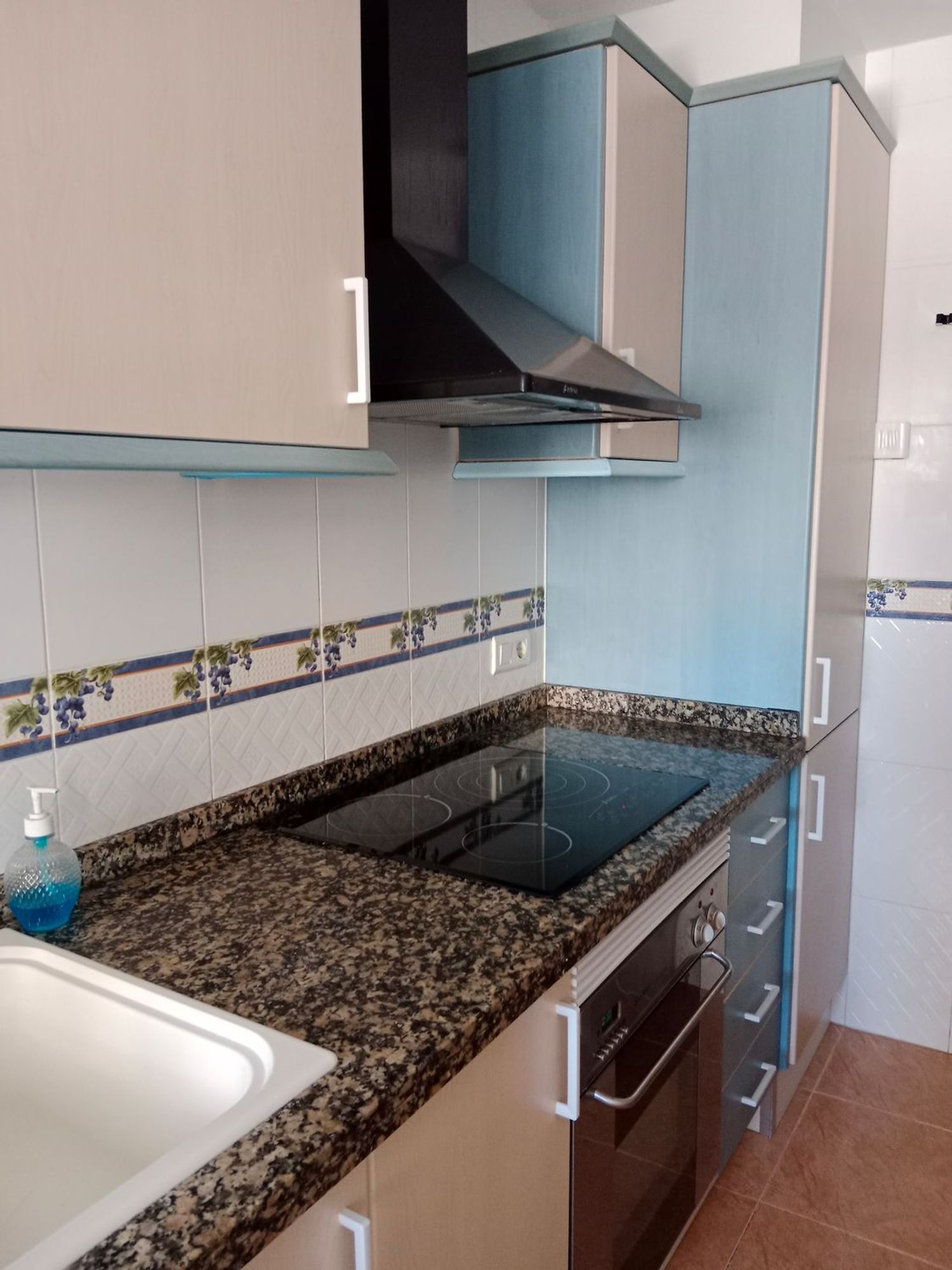 Piso en Avenida de la Mar Mediterrània, 61 - Foto 6