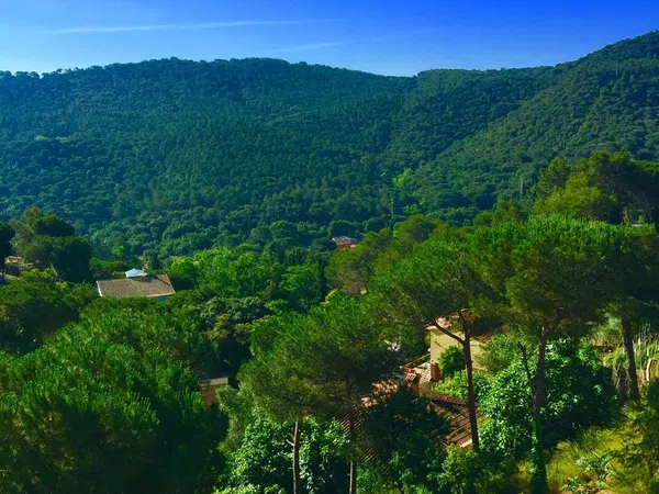Casa o chalet independiente en Can cabot, 127 - Foto 16