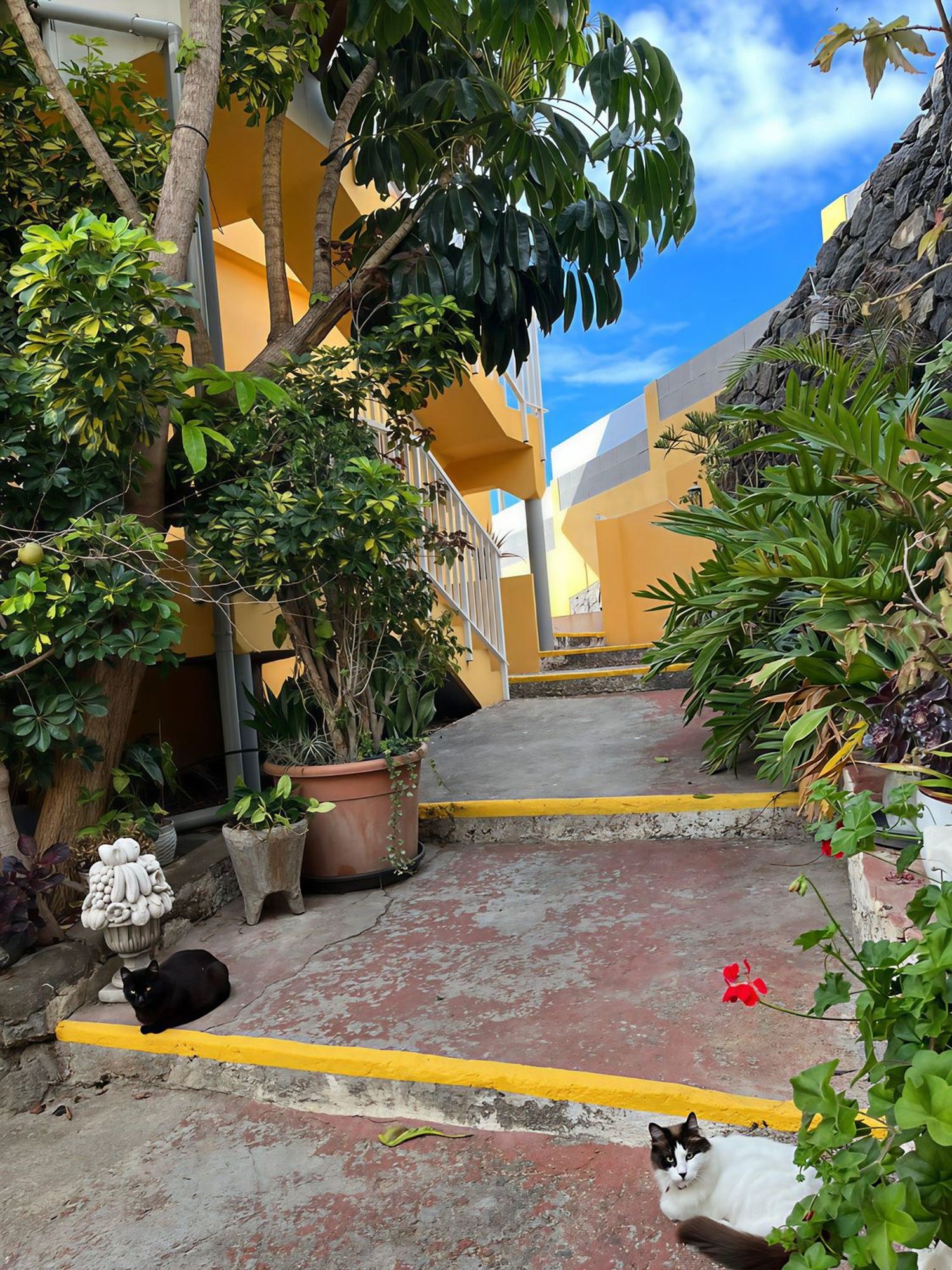 Ático en camino Burgado, 3 - Foto 16