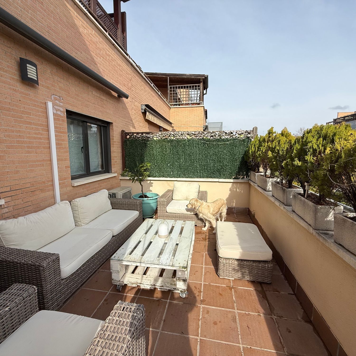 Piso en avenida Lazarejo, 7 - Foto 12