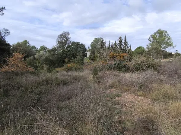Finca rústica en Vall de sant Marc, la torrussolla s/n - Foto 18