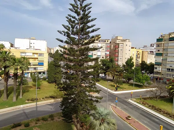 Piso en Calle Ingeniero de la Torre Acosta s/n, Carranque - Haza Cuevas - Foto 16