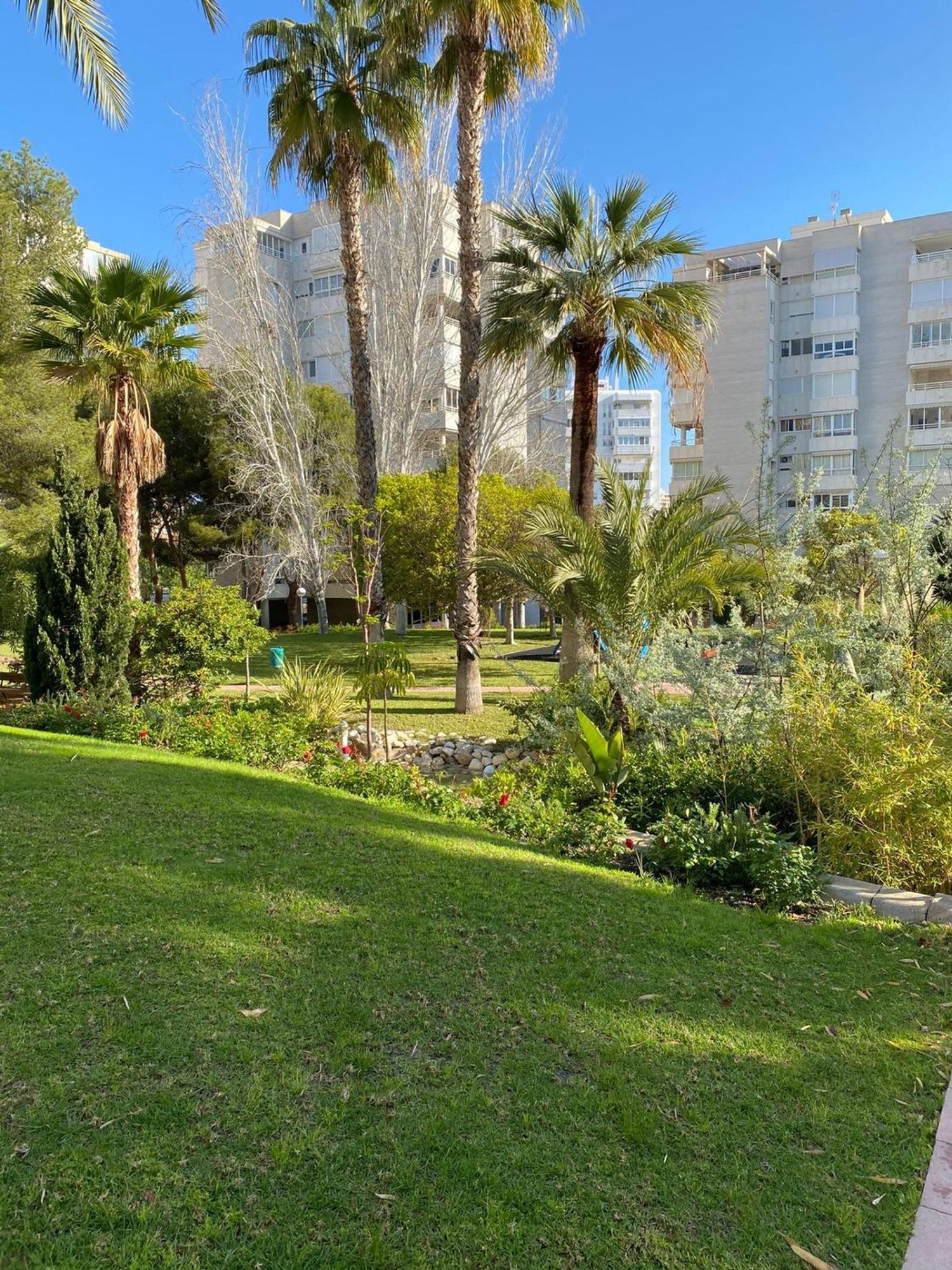 Piso en Avenida de la Costa Blanca, Cabo de las Huertas - Foto 6