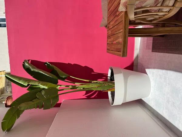 Piso en calle de Sant Bartomeu, 1 - Foto 2