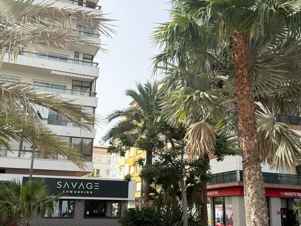 Piso en Calle San Roque, 38, Puerto de Estepona - Foto 15