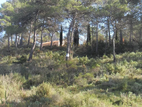 Finca rústica en Cv-712, 7 - Foto 10