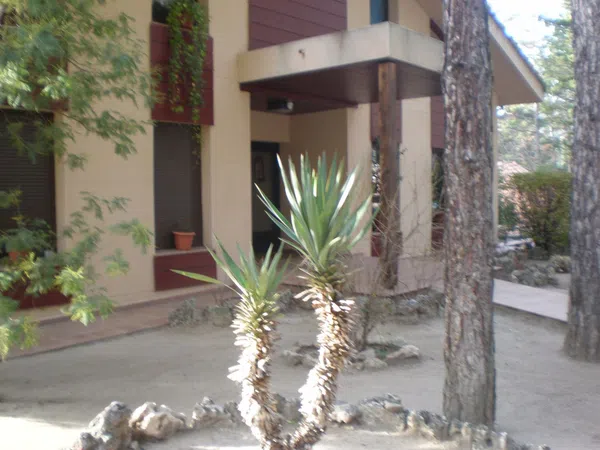 Piso en Calle Pinar, 2, Abantos - Carmelitas, Abantos - Carmelitas - Foto 39