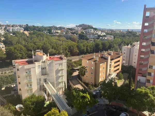 Estudio en Calle Puig d'Alaró, 8, Cala Major - Foto 8