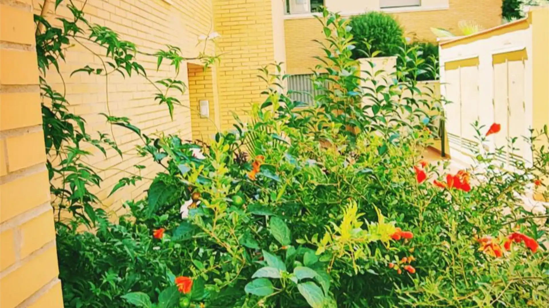 Piso en  Calle Castilla 38 - Foto 2