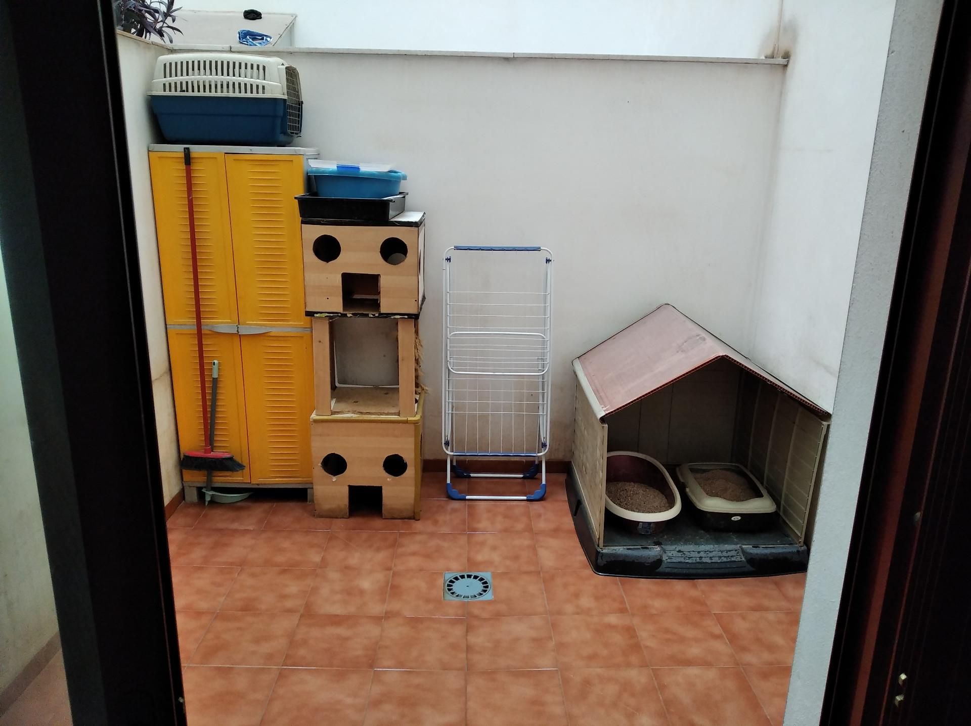 Piso en  Calle Poeta Eloy Sánchez Rosillo - Foto 12