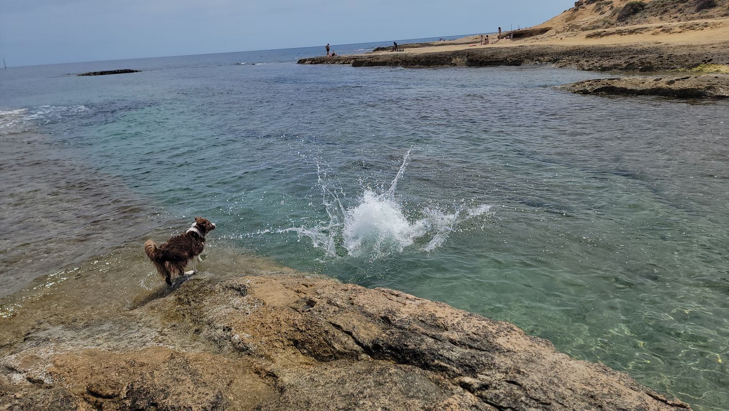 Piso en avenida Benidorm, 18 - Foto 14