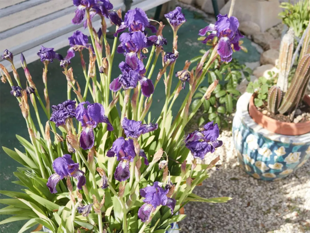 Chalet en  Partida Daimes 216 - Foto 87