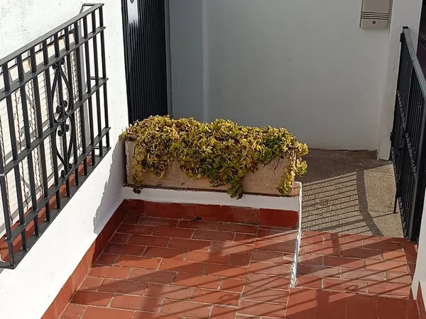 Chalet adosado en Calle Árbol Blanco, 51, El Cuartón - Heliomar - Foto 23