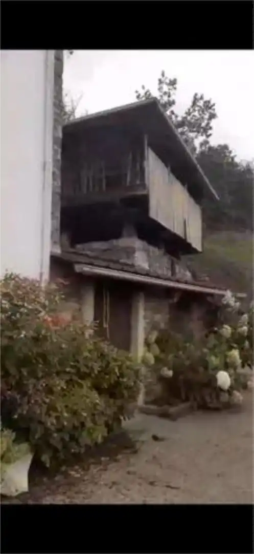 Chalet en Naraval tineo - Foto 3