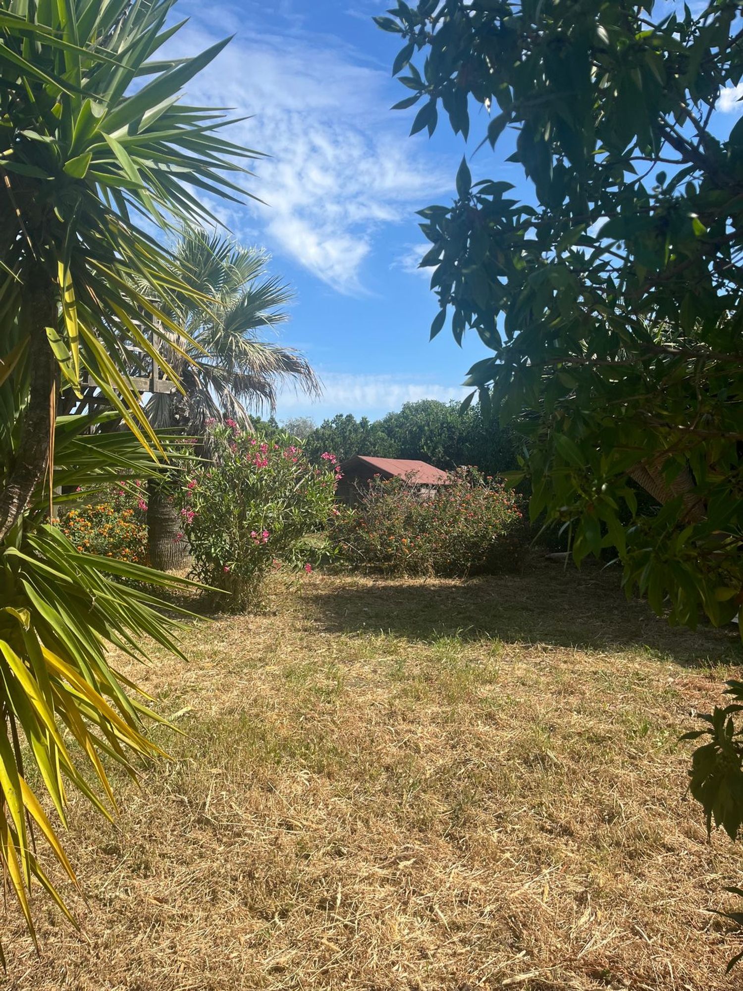 Casa rural en Camino de Teodoro, 11159 - Foto 10