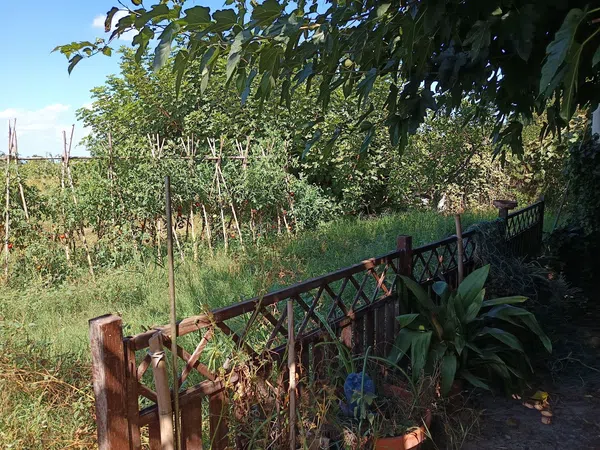 Cortijo en Cortijo en Partida Poligono 22, 220, Zona Llombai, Zona Llombai - Foto 21