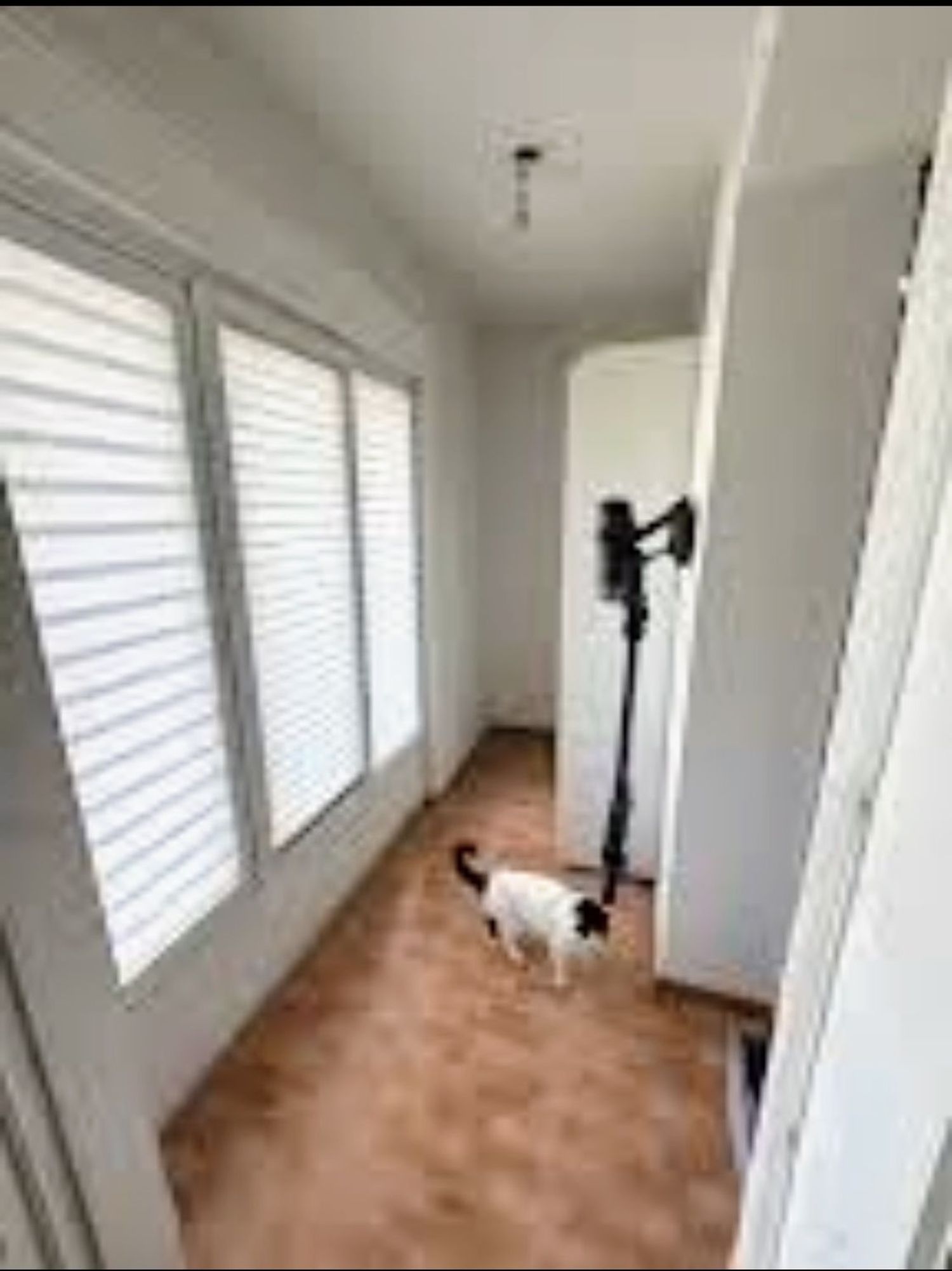 Piso - Foto 5