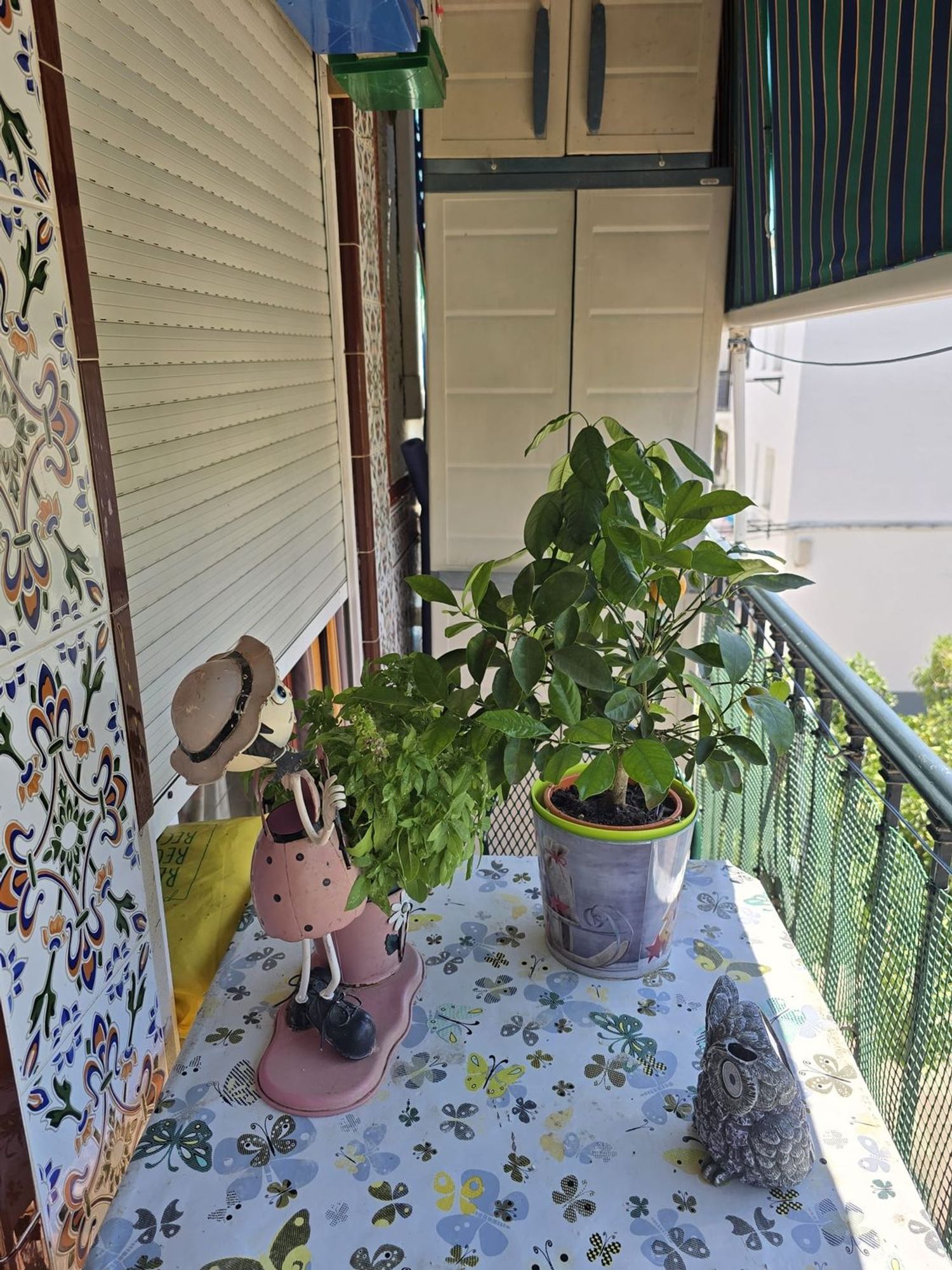 Piso en Avenida Valle Inclán, 41, Rodeo Alto-Guadaiza-La Campana - Foto 16