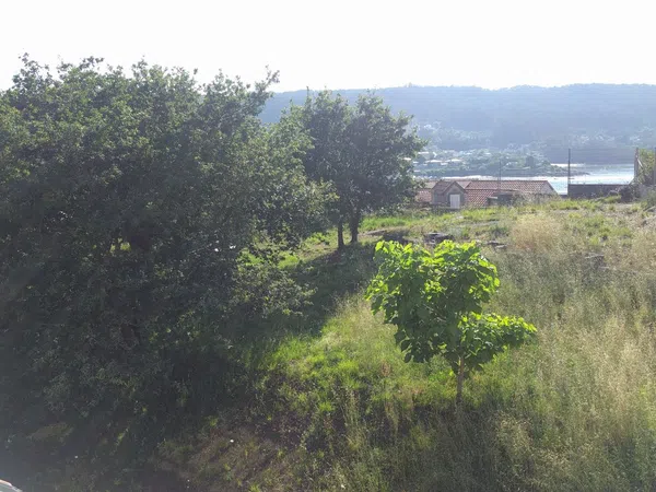 Ático en Camino de Bueu, 1, O Hío, O Hío - Foto 13