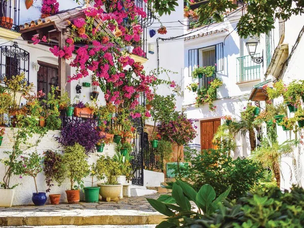 Piso en Piso Primera Linea De Playa, 23 AvdEspaa - Foto 14