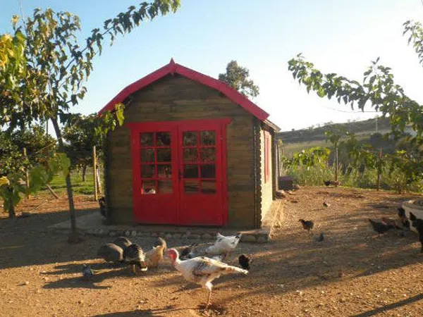 Casa rural en Paraje Amasaderos, 200 - Foto 4