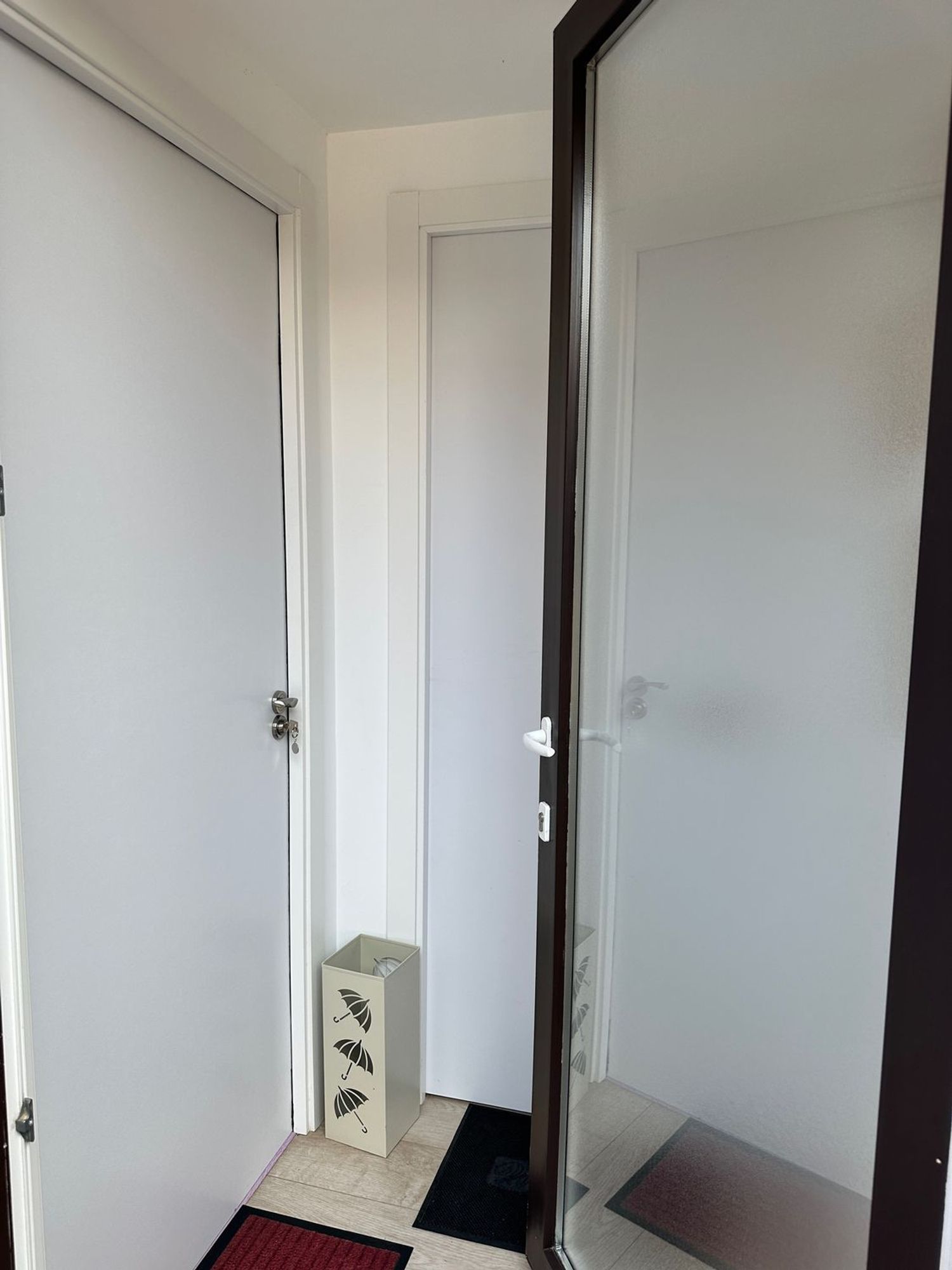 Estudio - Foto 1