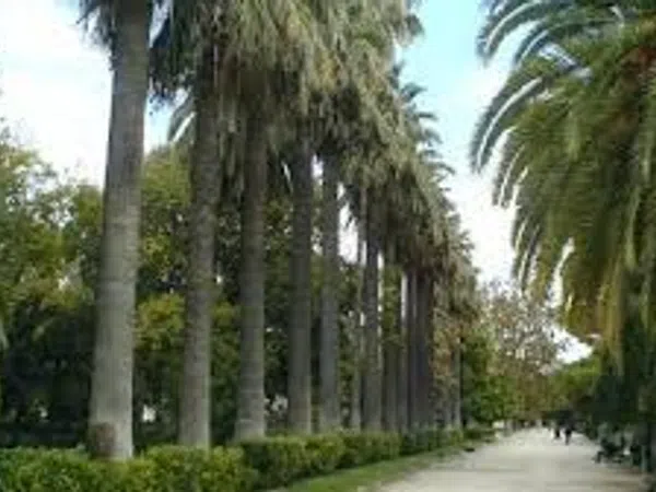 Piso en Paseo de la Alameda, Exposició - Foto 40