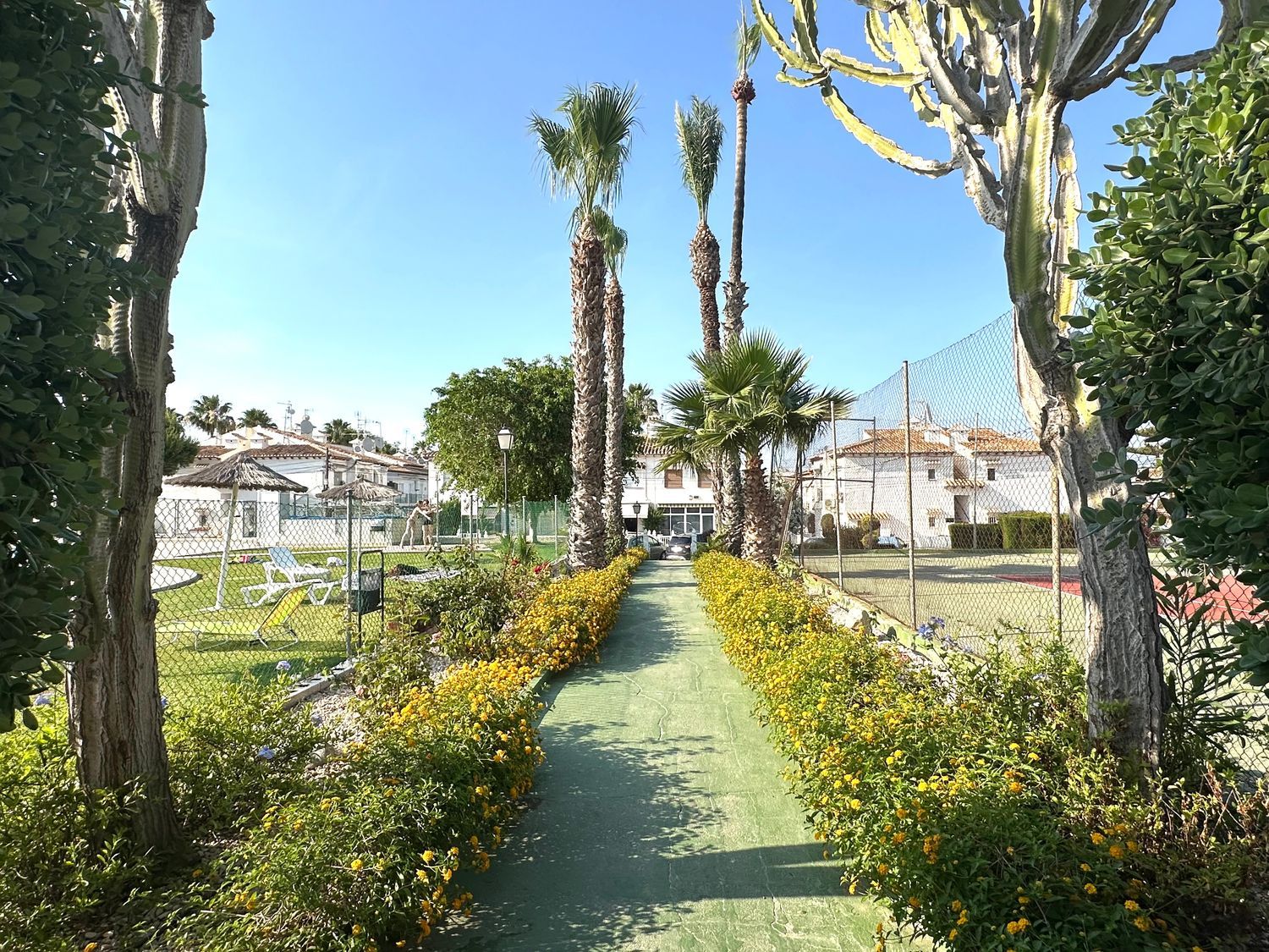 Ático en Calle Ruidera, 3, Los Balcones - Los Altos del Edén - Foto 21