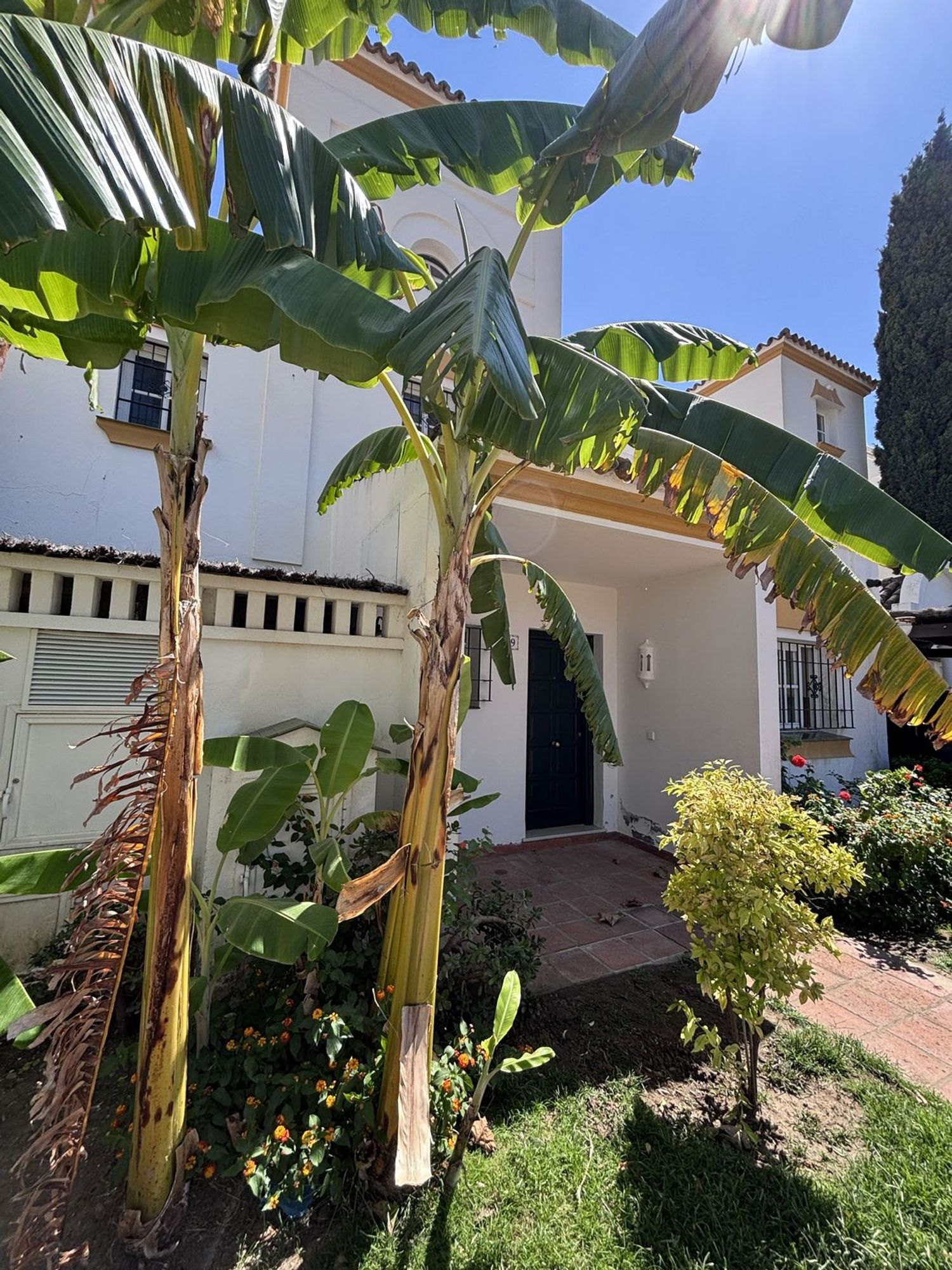 Chalet adosado en Calle Augusta, 9, Sotoserena - Foto 3