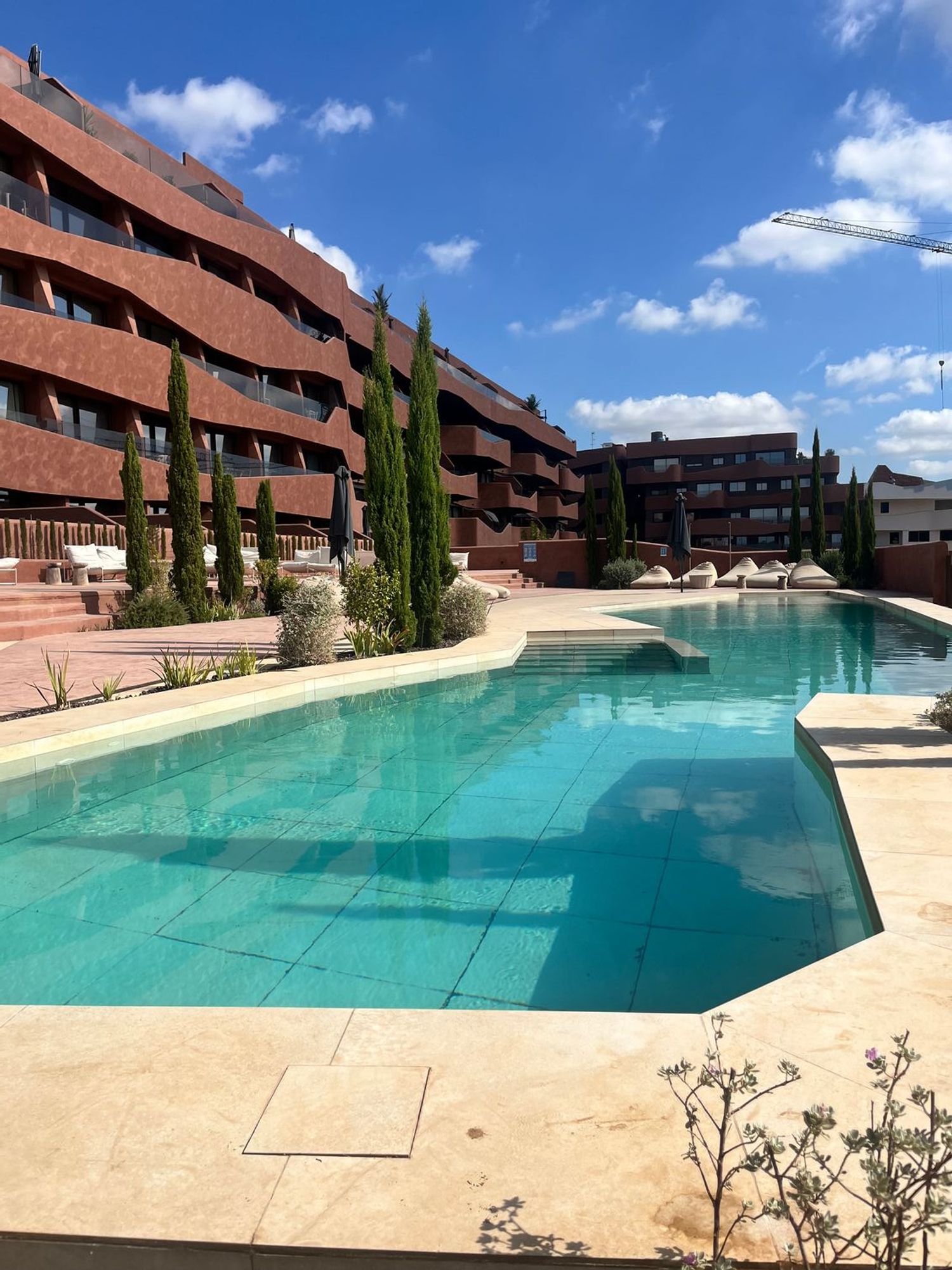 Estudio en calle los Rosaos, 2 - Foto 2