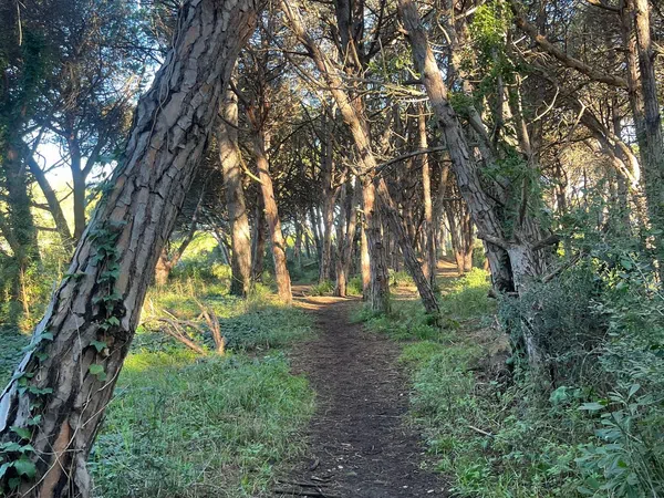 Alquiler de piso en Via de Castelldefels, 138 - Foto 17