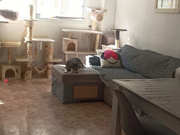Piso en Calle de l'Olivereta, 25, Nou Moles - Foto 1